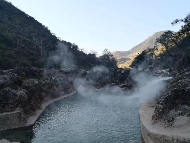 水莲怎么种植方法游戏画面